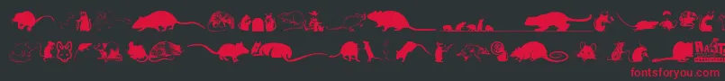 Rats Font – Red Fonts on Black Background