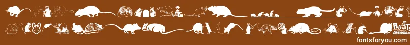 Rats Font – White Fonts on Brown Background