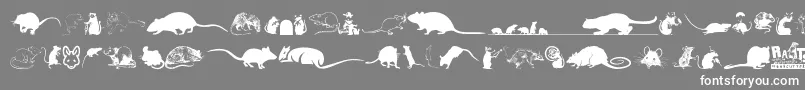 Rats Font – White Fonts on Gray Background