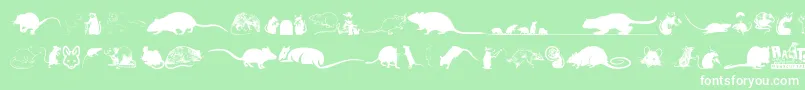 Rats Font – White Fonts on Green Background