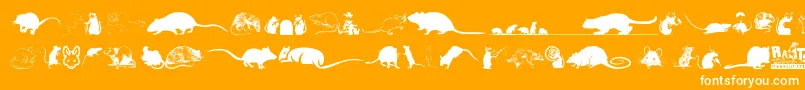 Rats-Schriftart – Weiße Schriften auf orangefarbenem Hintergrund