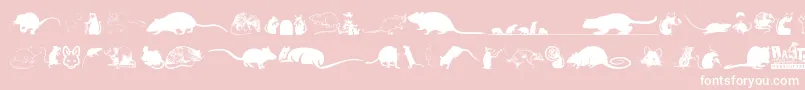 Fonte Rats – fontes brancas em um fundo rosa