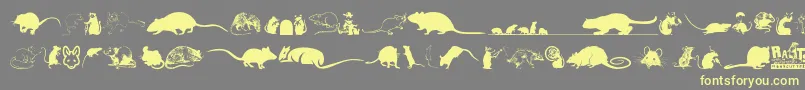 Rats Font – Yellow Fonts on Gray Background