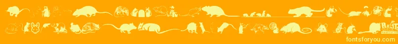 Rats-Schriftart – Gelbe Schriften auf orangefarbenem Hintergrund