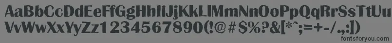 フォントGrenobleantiqueXboldRegular – 黒い文字の灰色の背景