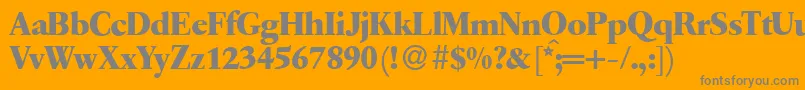 Q650RomanBold Font – Gray Fonts on Orange Background