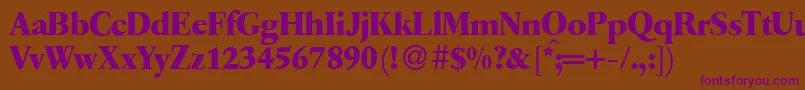 Q650RomanBold Font – Purple Fonts on Brown Background