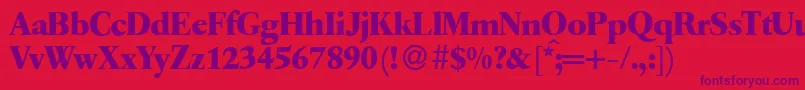 Q650RomanBold Font – Purple Fonts on Red Background