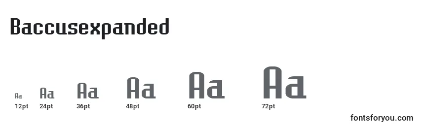 Baccusexpanded Font Sizes
