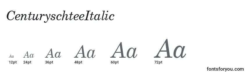 Размеры шрифта CenturyschteeItalic