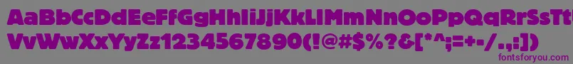 Шрифт Blocheavyc – фиолетовые шрифты на сером фоне
