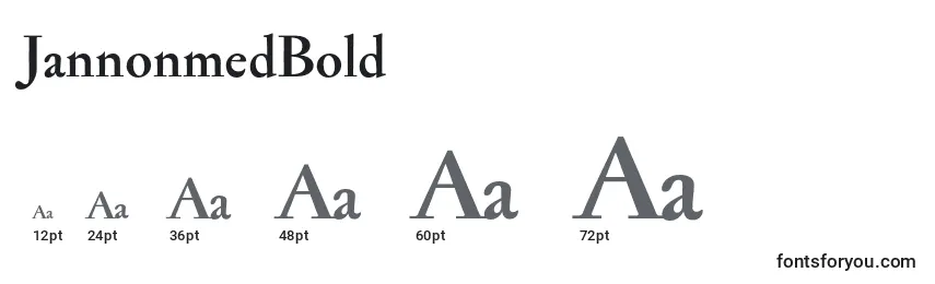 JannonmedBold Font Sizes