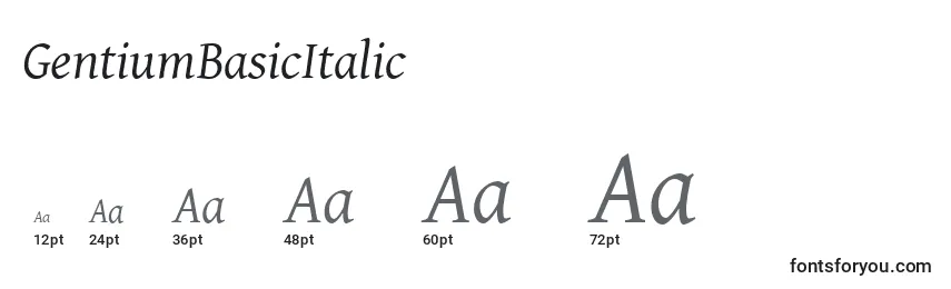 Размеры шрифта GentiumBasicItalic