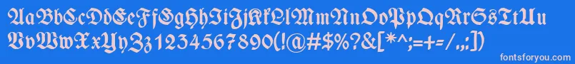 WieynkfrakturBold Font – Pink Fonts on Blue Background