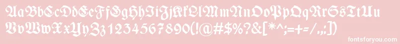 WieynkfrakturBold Font – White Fonts on Pink Background