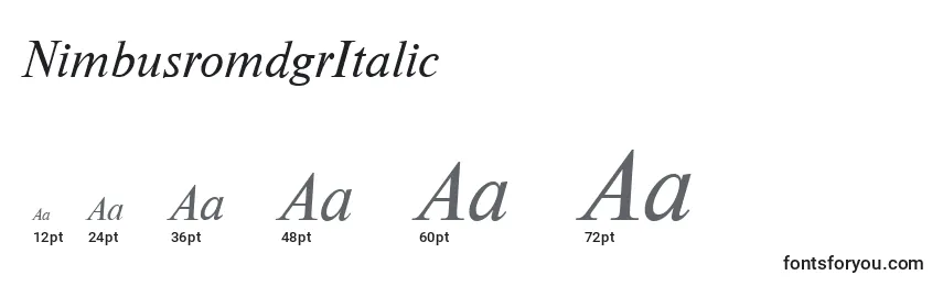 Größen der Schriftart NimbusromdgrItalic