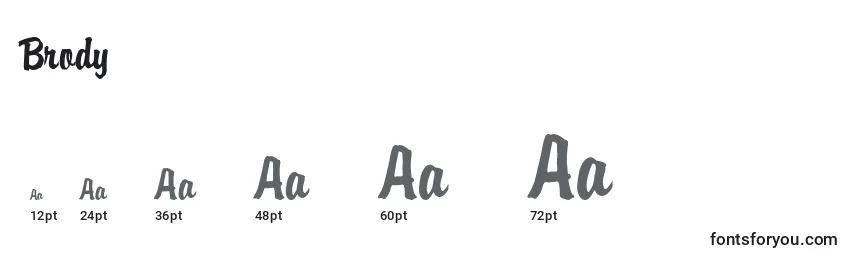 Brody Font Sizes