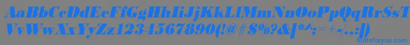 UrwbodonidextbolextnarOblique Font – Blue Fonts on Gray Background