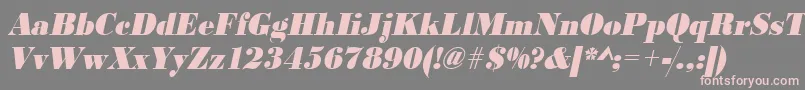 UrwbodonidextbolextnarOblique Font – Pink Fonts on Gray Background