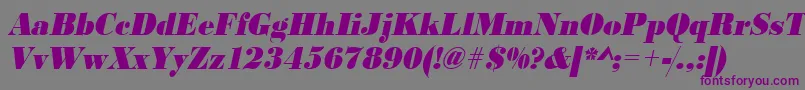UrwbodonidextbolextnarOblique Font – Purple Fonts on Gray Background