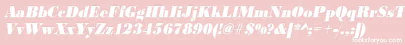 フォントUrwbodonidextbolextnarOblique – ピンクの背景に白い文字