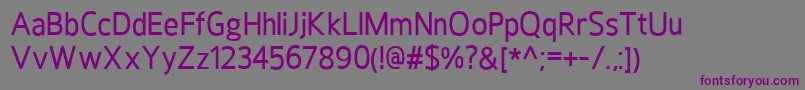 HoxtonMedium Font – Purple Fonts on Gray Background