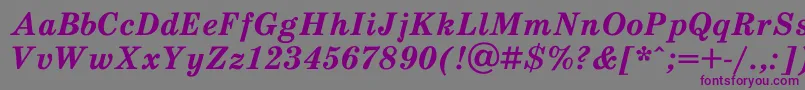 フォントSchooldlBoldItalic – 紫色のフォント、灰色の背景