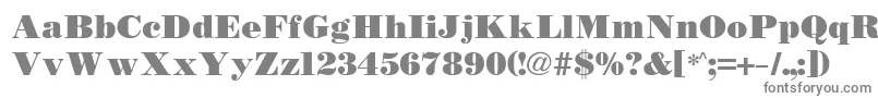 フォントBodidly – 白い背景に灰色の文字