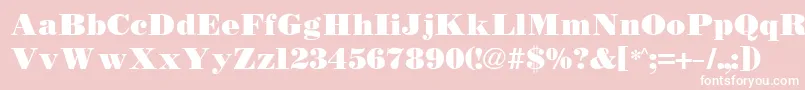 Bodidly Font – White Fonts on Pink Background