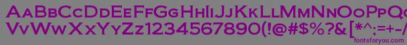 BiondirgRegular Font – Purple Fonts on Gray Background