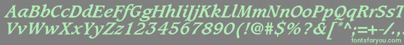 CaxtonstdBolditalic-Schriftart – Grüne Schriften auf grauem Hintergrund