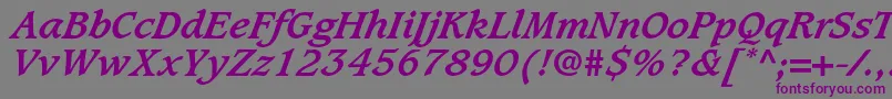 CaxtonstdBolditalic Font – Purple Fonts on Gray Background