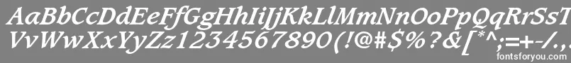 CaxtonstdBolditalic Font – White Fonts on Gray Background