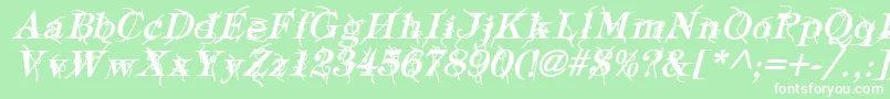 TypographyTiesBoldItalic Font – White Fonts on Green Background