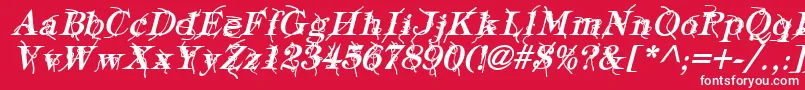 TypographyTiesBoldItalic Font – White Fonts on Red Background