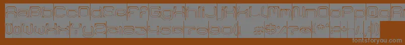 フォントRaynalizHollowInverse – 茶色の背景に灰色の文字