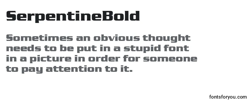 Review of the SerpentineBold Font