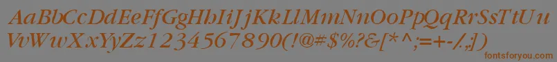 GaramondbooksskItalic Font – Brown Fonts on Gray Background