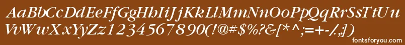 GaramondbooksskItalic Font – White Fonts on Brown Background