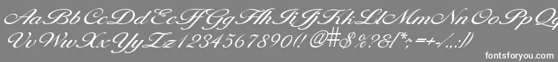 LarisimalightRegular-Schriftart – Weiße Schriften auf grauem Hintergrund