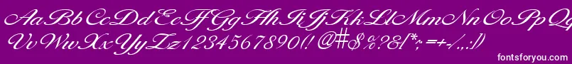 LarisimalightRegular Font – White Fonts on Purple Background