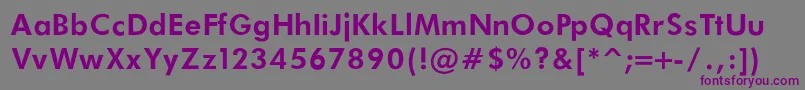 FuturaBookBoldRegular Font – Purple Fonts on Gray Background