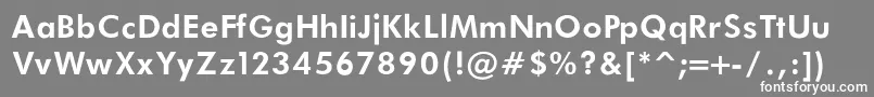 FuturaBookBoldRegular Font – White Fonts on Gray Background