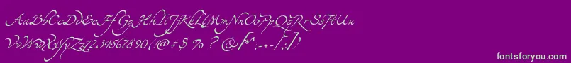 Шрифт Yevida – зелёные шрифты на фиолетовом фоне
