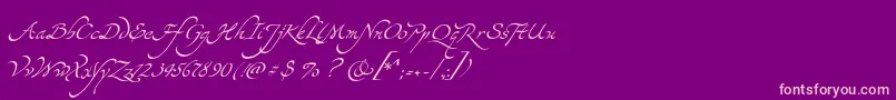 Yevida Font – Pink Fonts on Purple Background