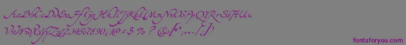 Yevida Font – Purple Fonts on Gray Background