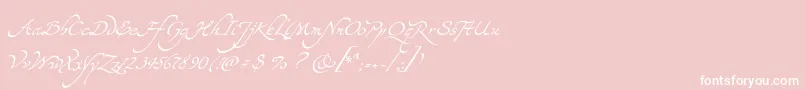 Yevida Font – White Fonts on Pink Background