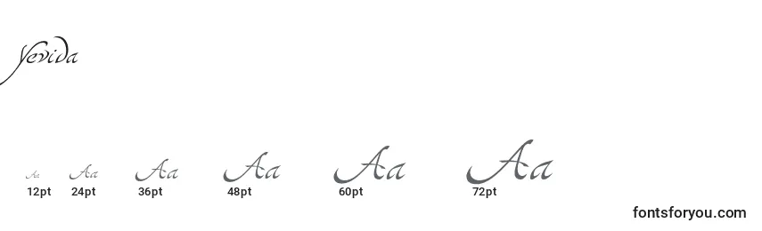 Размеры шрифта Yevida