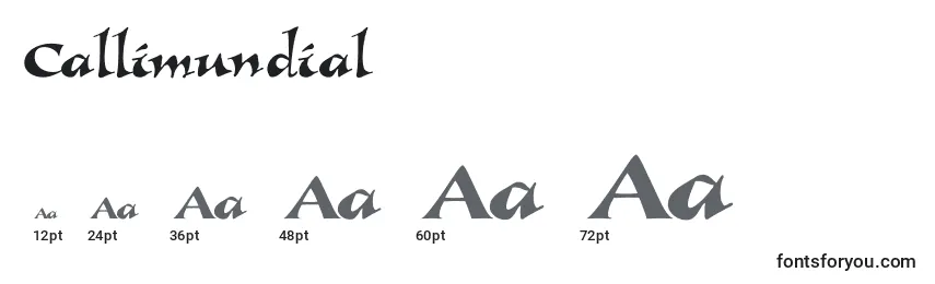 Callimundial Font Sizes