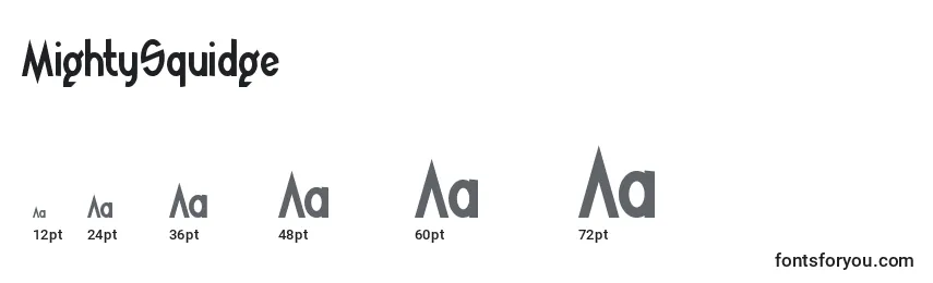 MightySquidge Font Sizes